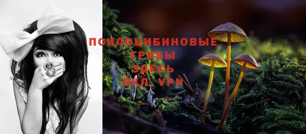 марки lsd Алексеевка