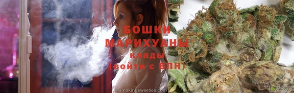 шишки Алзамай
